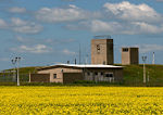 RSL 3 and canola field